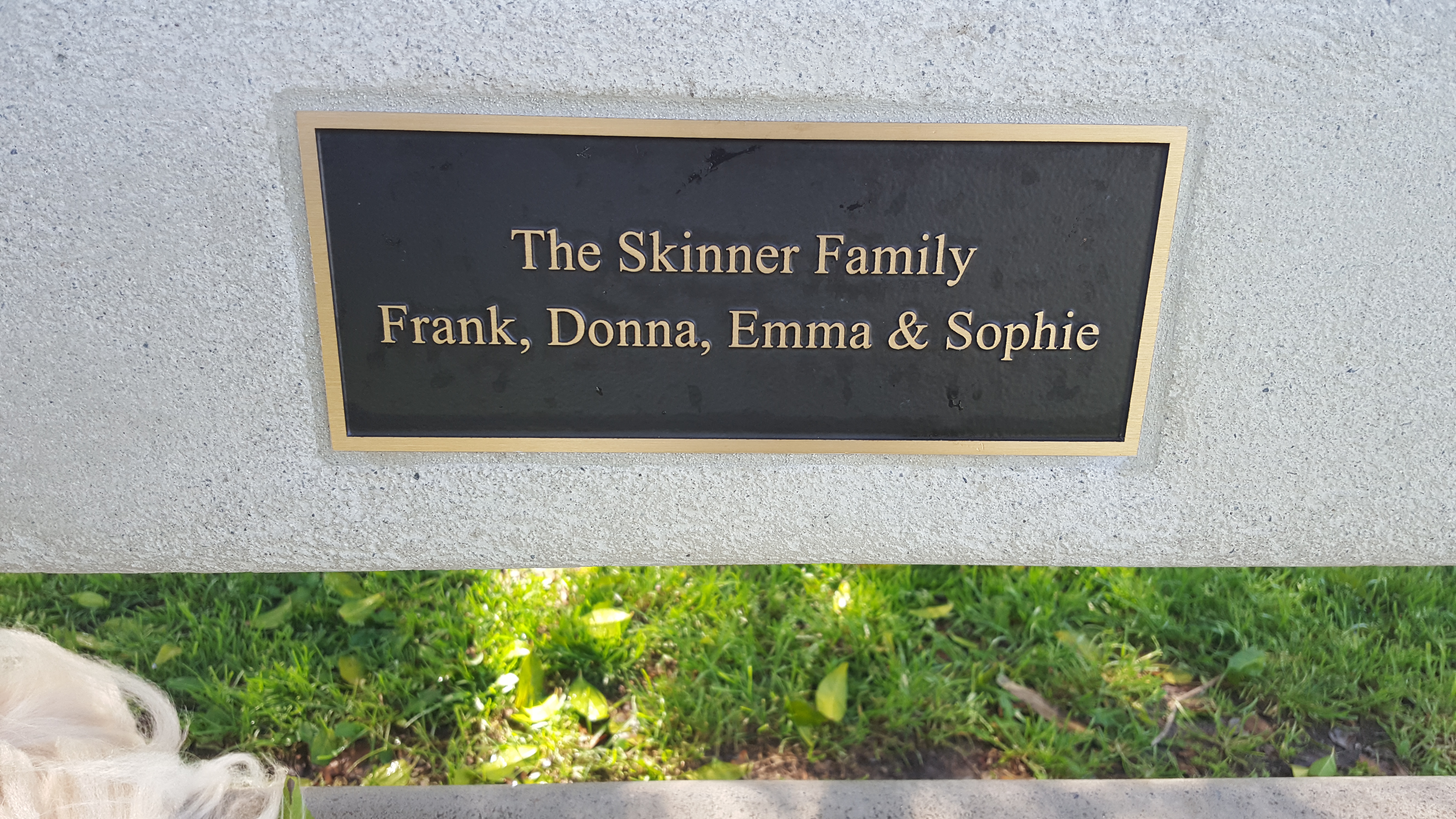 The Skinner Family Park Bench